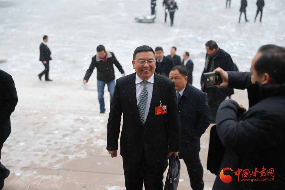 【聚焦2020甘肅兩會】“兩會”代表、委員風采掠影（組圖）
