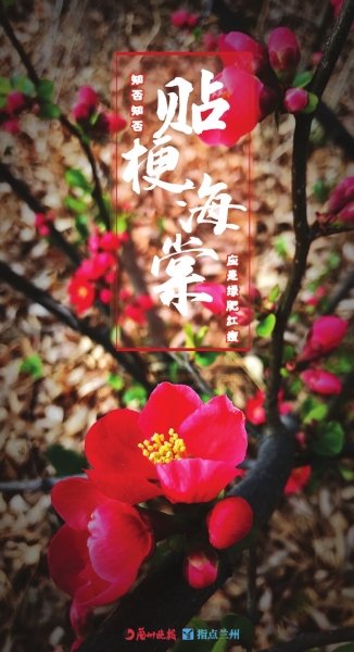 來(lái)，跟這些美美的花朵認(rèn)識(shí)一下！