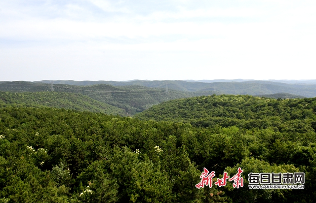 【甘肅生態(tài)環(huán)保媒體行】子午嶺深處，一家三代人用生命守護(hù)黃土高原的“天然生態(tài)屏障”