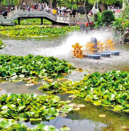 走，到五泉山公園看花展去