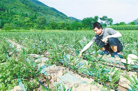 【走向我們的小康生活】安居樂業(yè) 幸?；ㄩ_