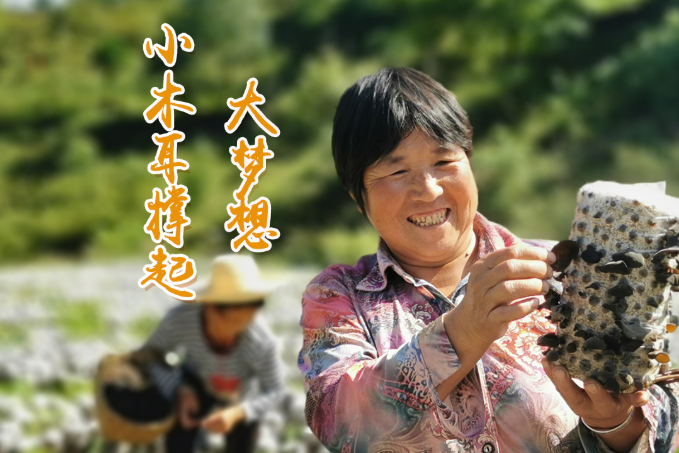 海報(bào)丨他們，乘“豐”破浪！