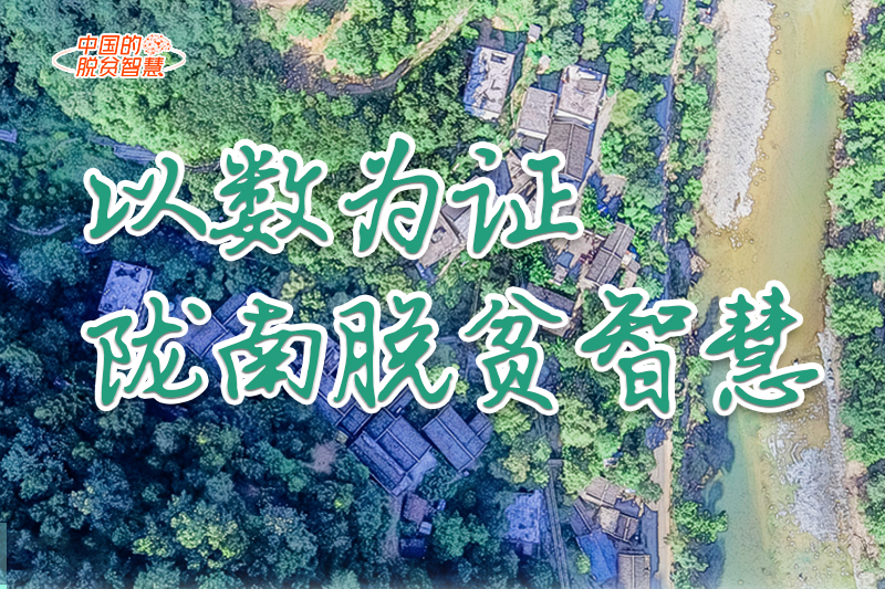 【中國的脫貧智慧】以數(shù)為證！隴南脫貧智慧來了！