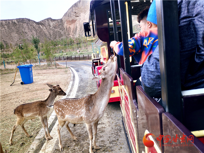重陽(yáng)節(jié)蘭州野生動(dòng)物園48元可搶門(mén)票