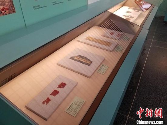 圖為展覽現(xiàn)場。　敦煌研究院供圖