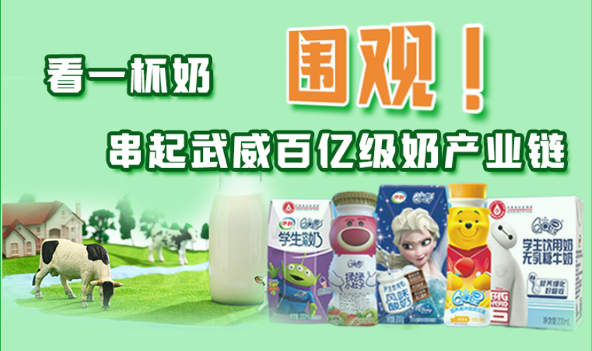 圖解|圍觀！看一杯奶串起武威百億級(jí)奶產(chǎn)業(yè)鏈