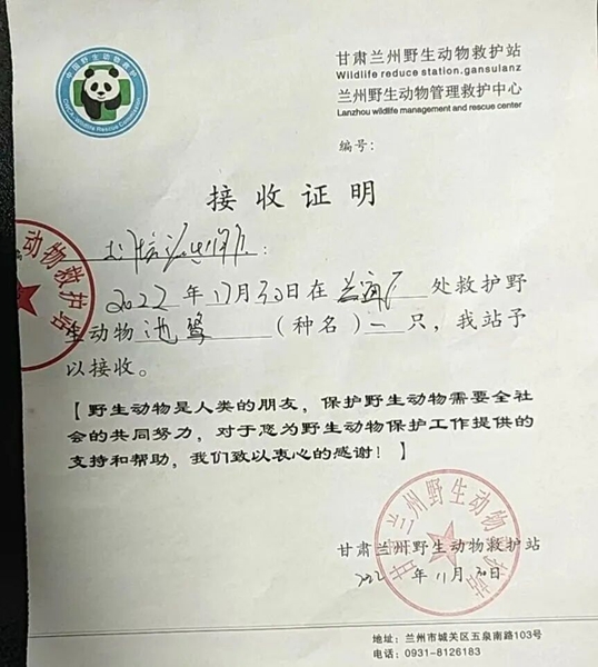 受到救助的池鷺被蘭州野生動物保護站接收。（蘭州市公安局七里河分局供圖）