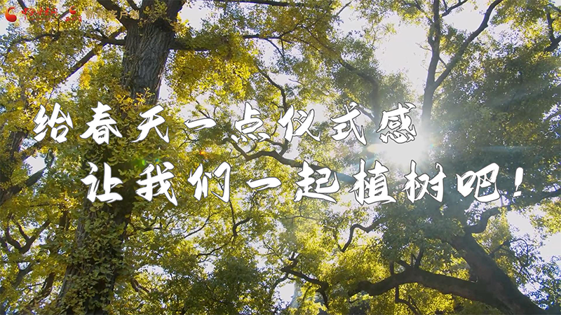 短視頻|給春天一點儀式感，讓我們一起植樹吧！