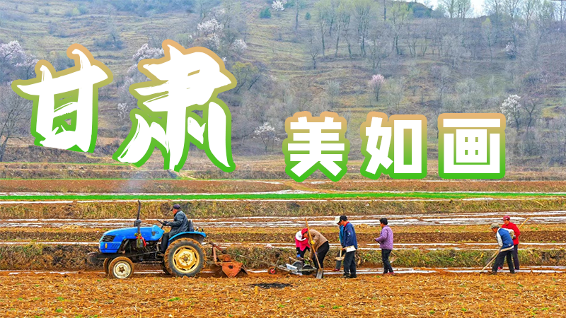 微海報(bào)|甘肅，美如畫