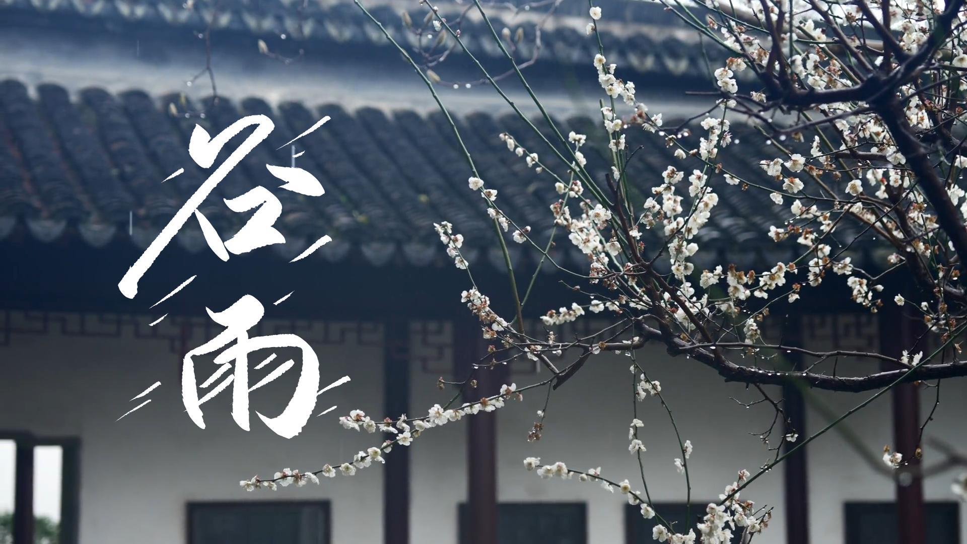 【節(jié)氣里的大美甘肅】谷雨，春天的最后一次回眸