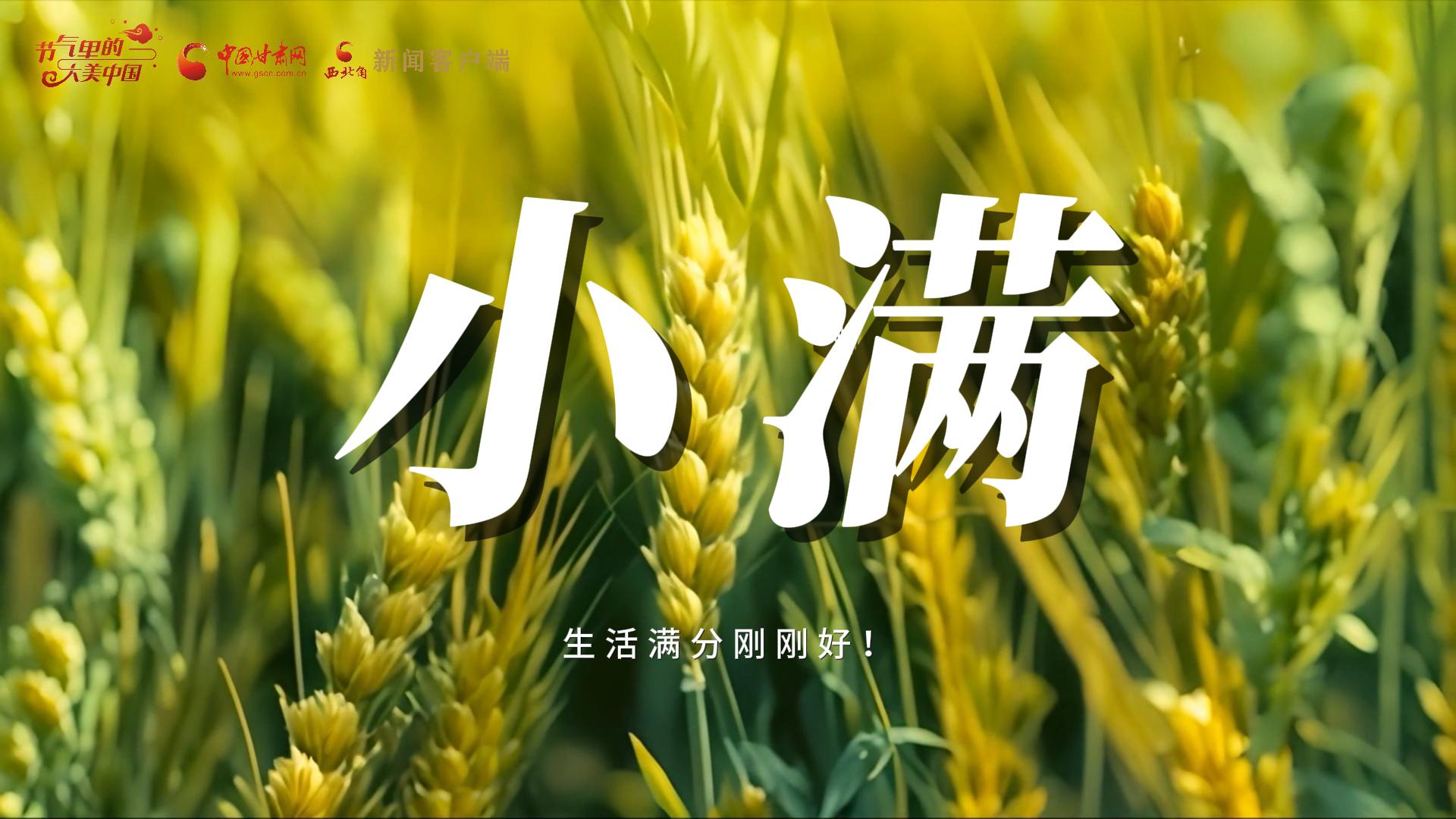 【節(jié)氣里的大美甘肅·小滿】生活滿分剛剛好！