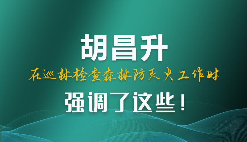 圖解|胡昌升在巡林檢查森林防滅火工作時強調了這些！