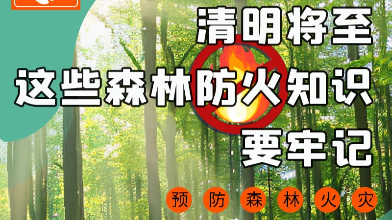 【甘快看】圖解|緊繃“安全弦”！清明，這些森林防火知識(shí)要牢記